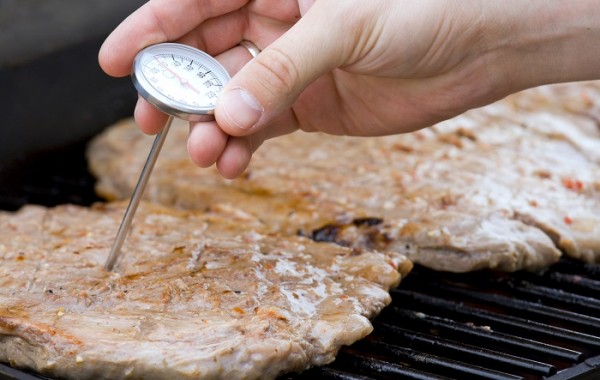 checking meat temperature