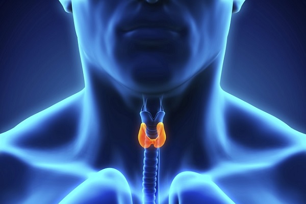 Time to Think About Thyroids