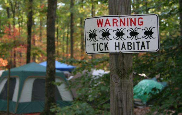 Tick awareness is the first step in avoiding a tick bite.